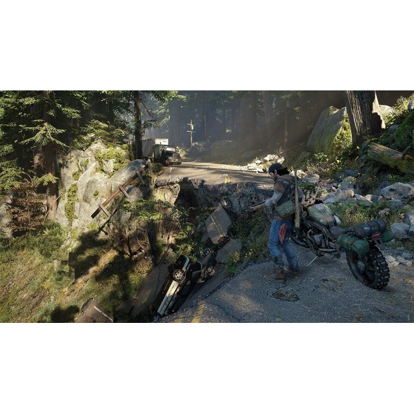 Sony PS4 Game (Days Gone)